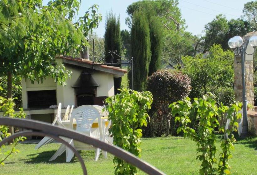 اتاق کلاس بیزنس, B&b Il Nido Del Merlo