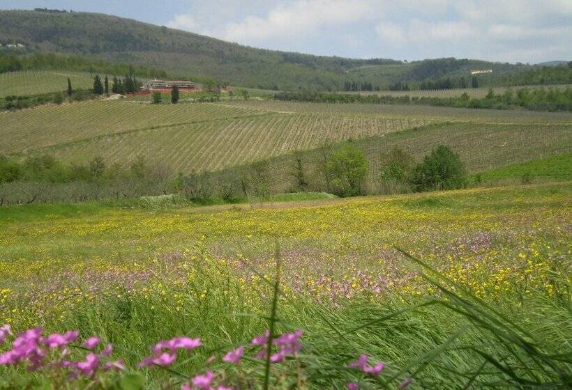 اتاق کلاس بیزنس, B&b Il Nido Del Merlo