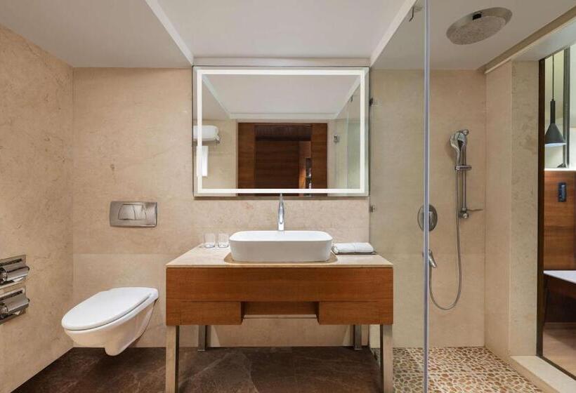 اتاق سوپریور, Radisson Blu Hotel Ranchi