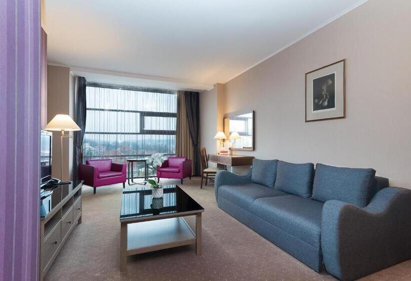 이그제큐티브 스위트 킹침대, Wyndham Cluj