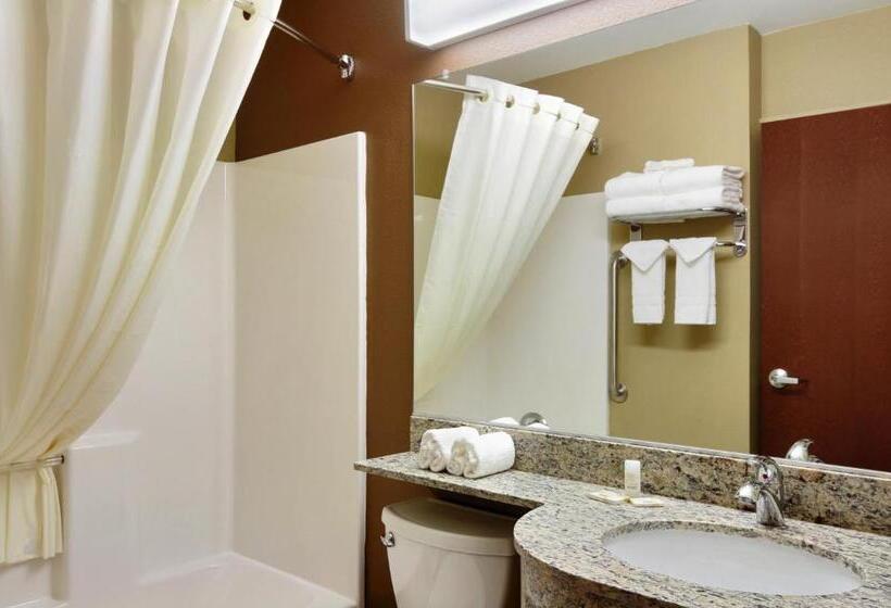 Номер Стандарт, Microtel Inn & Suites By Wyndham Williston