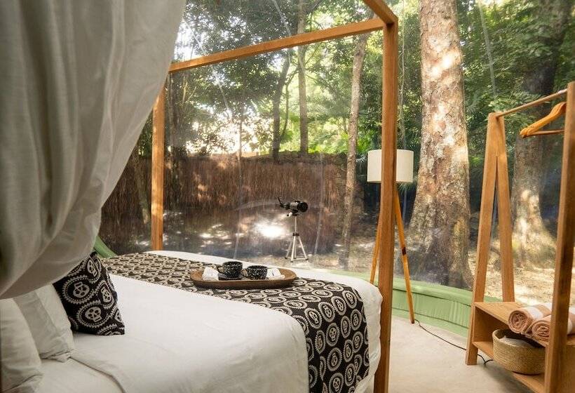 Suite Premium, Oom Bubble Boutique Riviera Cancun   Adults Only