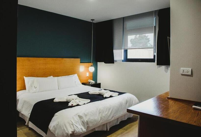 스탠다드 룸, Plaza Paradiso Petit