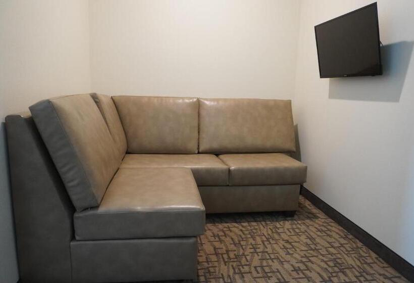 适合残疾人士使用的带超级大床的标准间, Comfort Inn & Suites