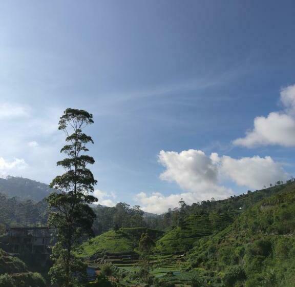 اتاق لوکس یک تخته, Singing Hills