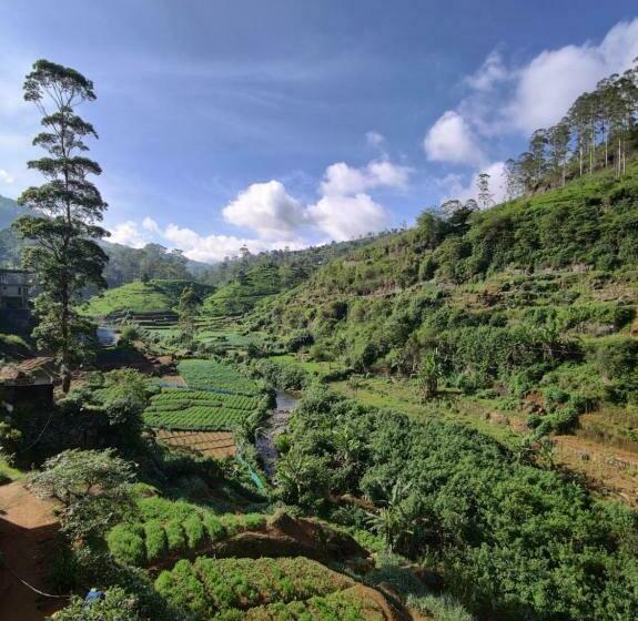 اتاق لوکس یک تخته, Singing Hills
