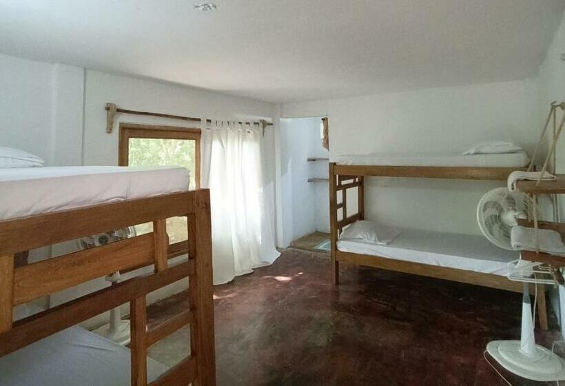 Quarto Familiar, El Viejo Del Mar