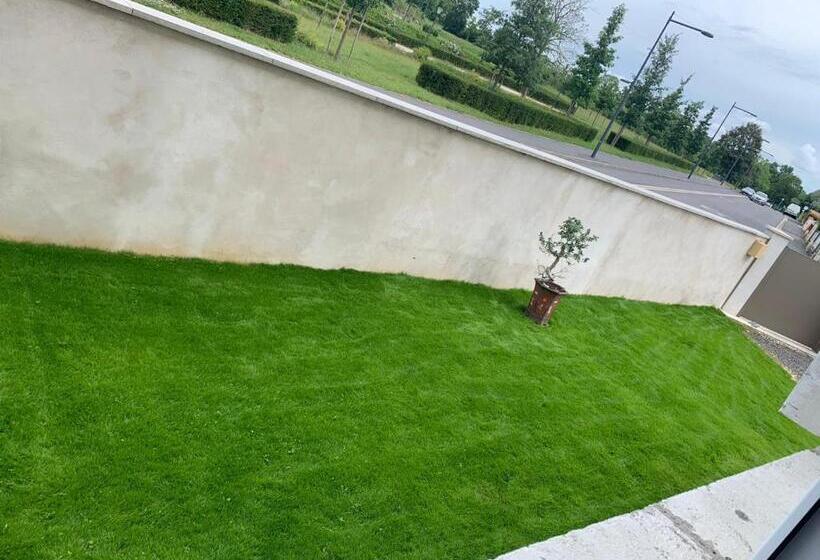 اتاق خانوادگی, Olga Chambre D Hote