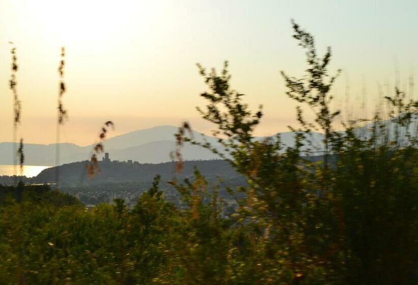 Стандартный Номер Кровать Кинг, B&b La Terra Di Parmenide