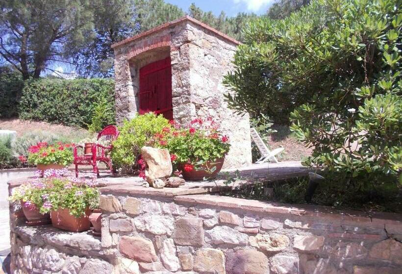 Апартаменты 2 Спальни, Agriturismo Il Pozzo
