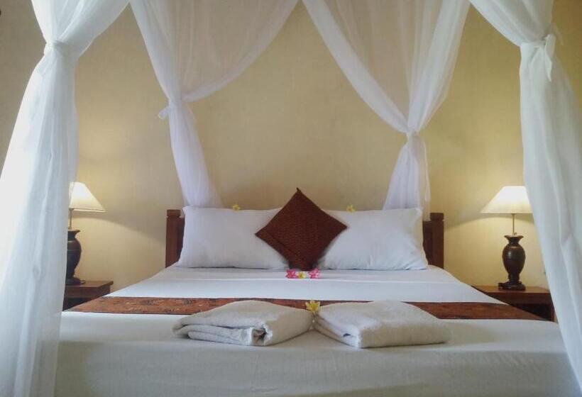 Номер Стандарт, Molleh Guest House