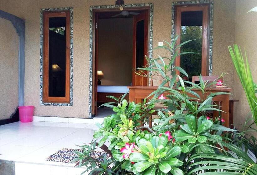 Номер Superior, Molleh Guest House