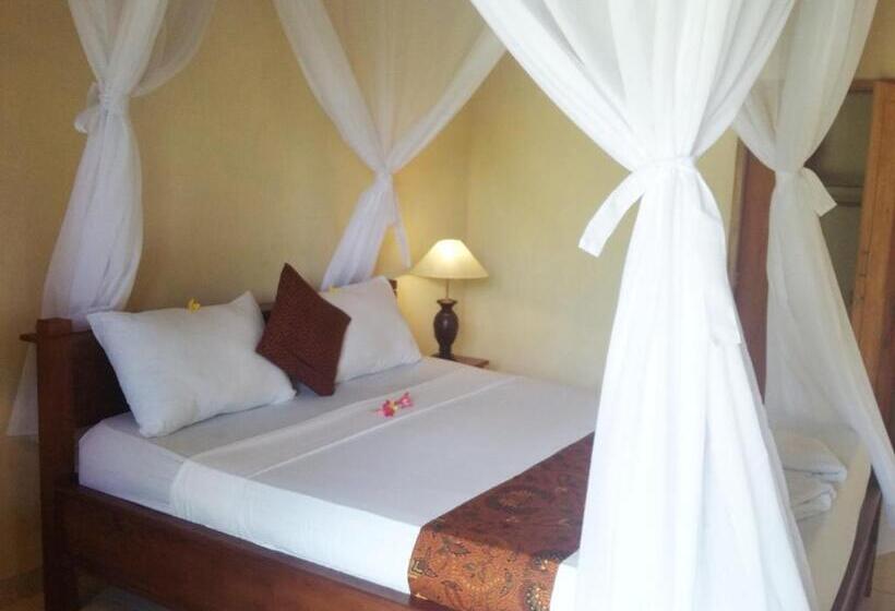 Номер Superior, Molleh Guest House