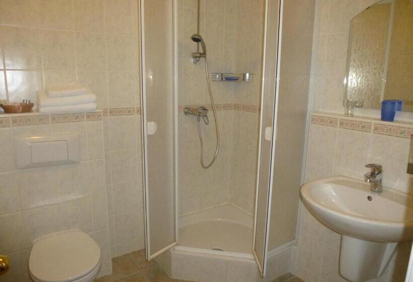 Superior Room with Terrace, Albergo Giardino