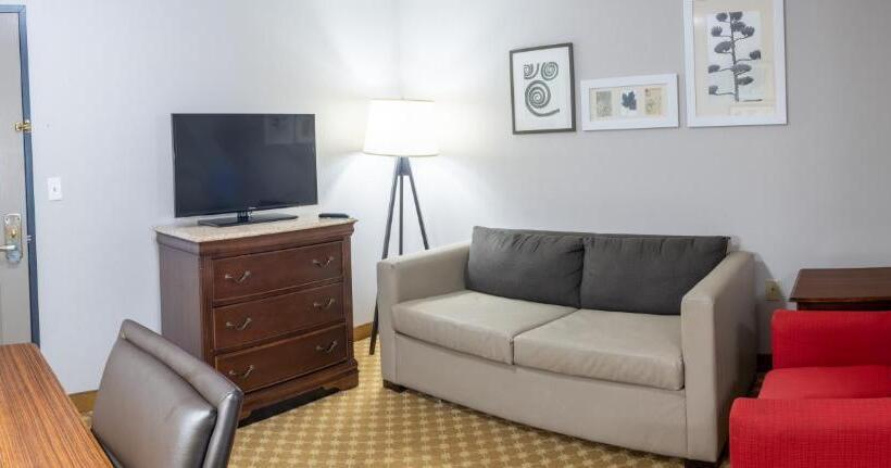חדר סטנדרט מותאם לאדם עם מוגבלויות, Country Inn & Suites By Radisson, Wilmington, Nc