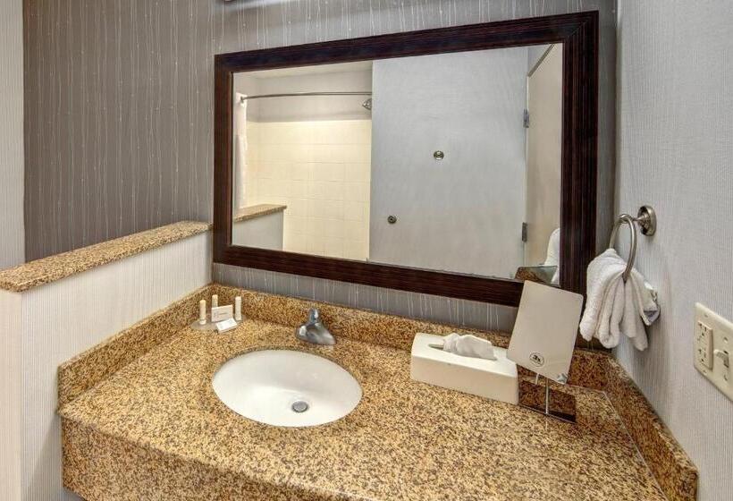 스탠다드 스튜디오 킹침대, Courtyard By Marriott Troy