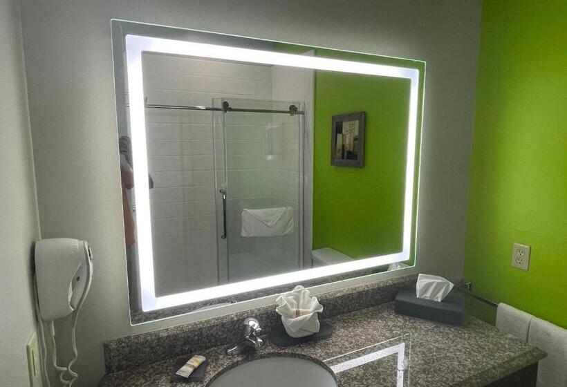 Номер Executive Кровать Кинг, La Quinta Inn & Suites By Wyndham Raymondville