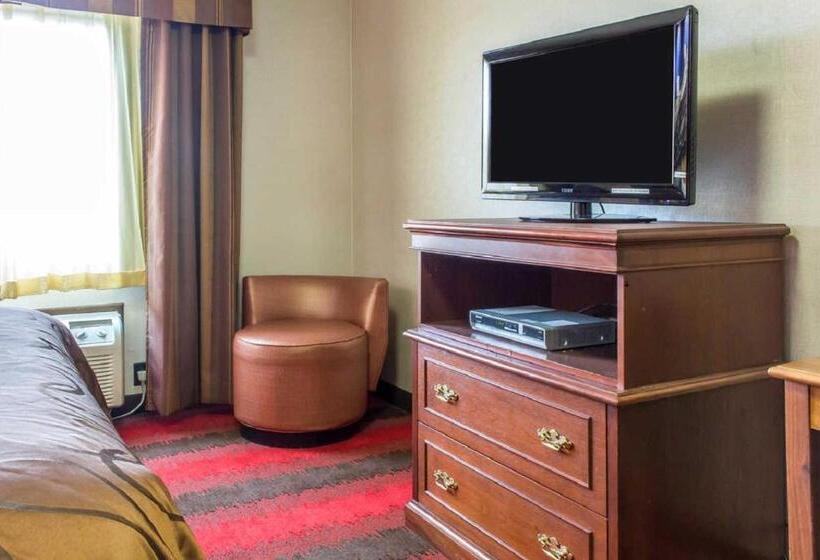 스탠다드 룸 킹사이즈 침대, Rodeway Inn Capri