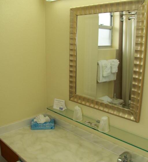 اتاق استاندارد با تخت بزرگ, The Beachview Inn Clearwater Beach