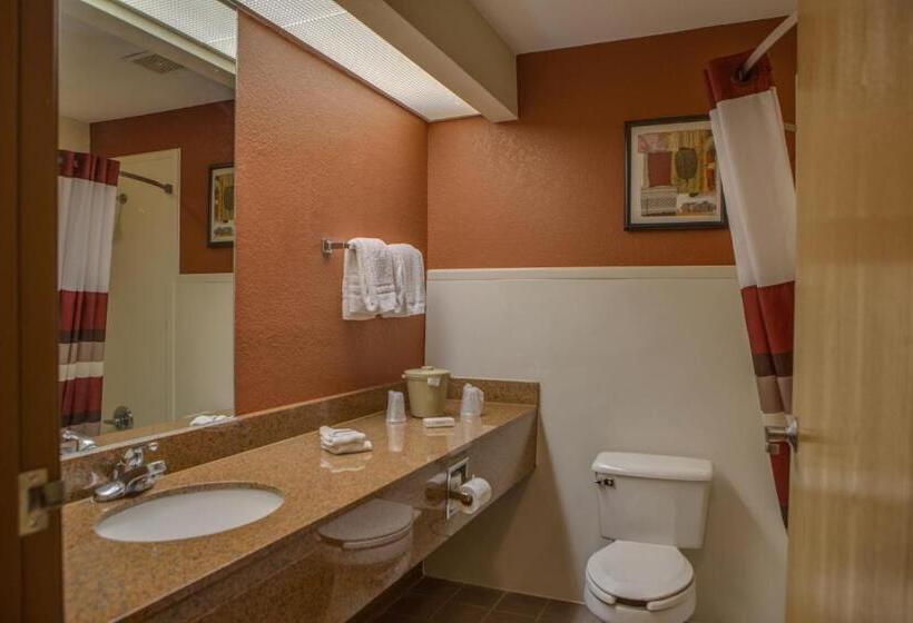 스탠다드 룸 킹사이즈 침대, Red Roof Inn Pharr  Mcallen