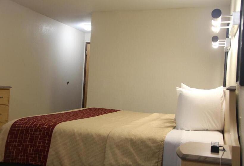 스탠다드 룸 킹사이즈 침대, Red Roof Inn Pharr  Mcallen