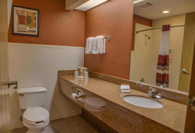 스탠다드 룸, Red Roof Inn Pharr  Mcallen