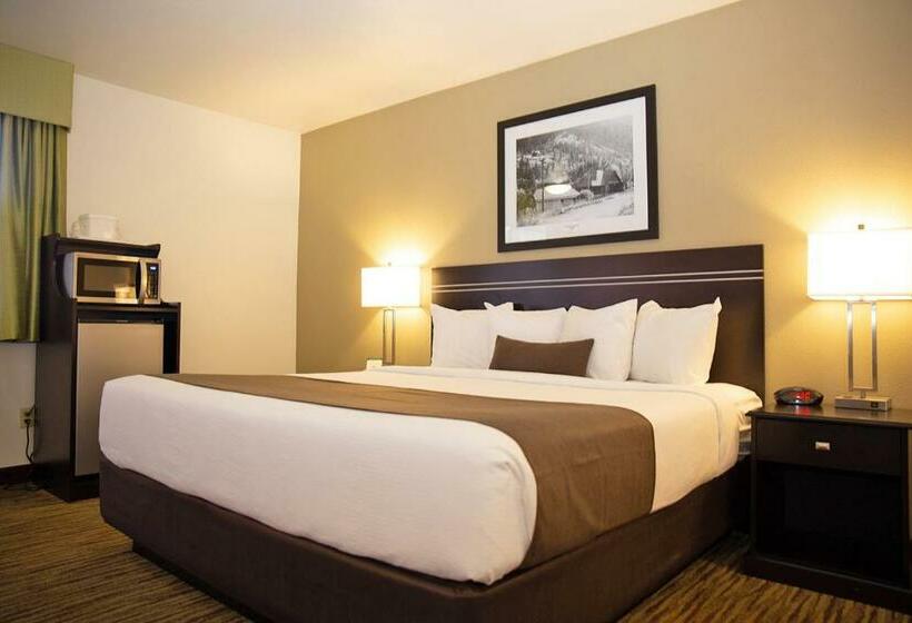 스탠다드 룸 킹사이즈 침대, Villa Motel At Manitou Springs