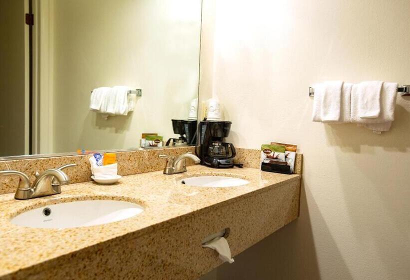 스탠다드 룸 킹사이즈 침대, Villa Motel At Manitou Springs