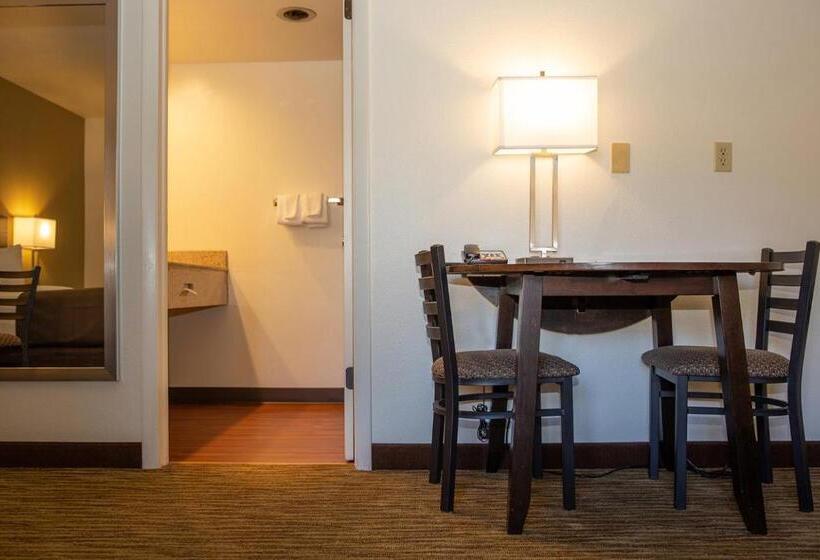 스탠다드 룸 킹사이즈 침대, Villa Motel At Manitou Springs