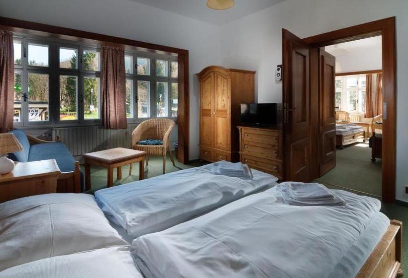 اتاق استاندارد, Depandance Villa Hubertus