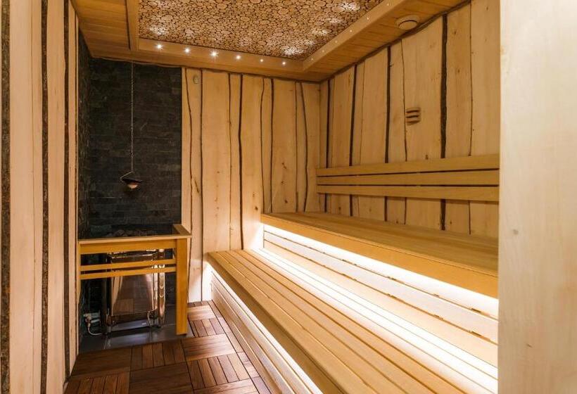 스탠다드 룸, Spa Hotel Anglický Dvůr