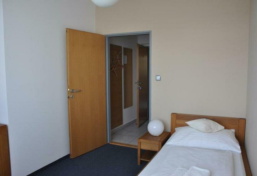标准单人间, Lions Plzen