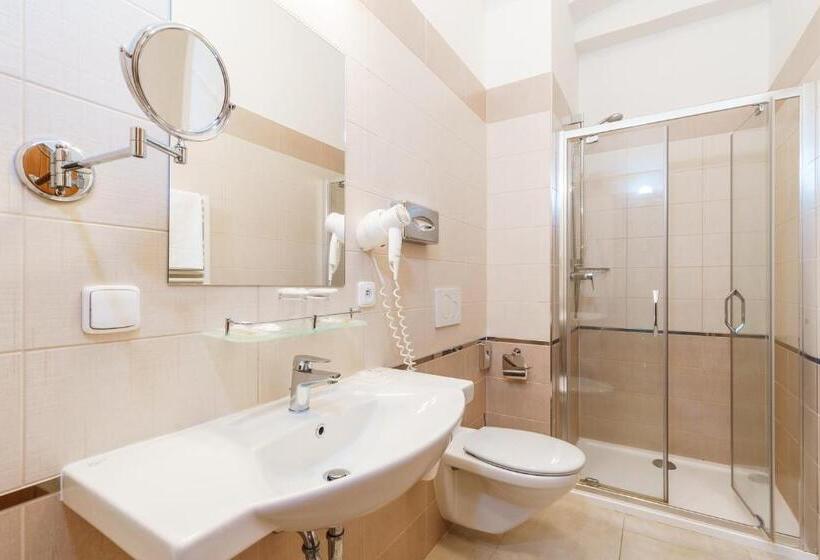 标准间, Spa Hotel Anglický Dvůr