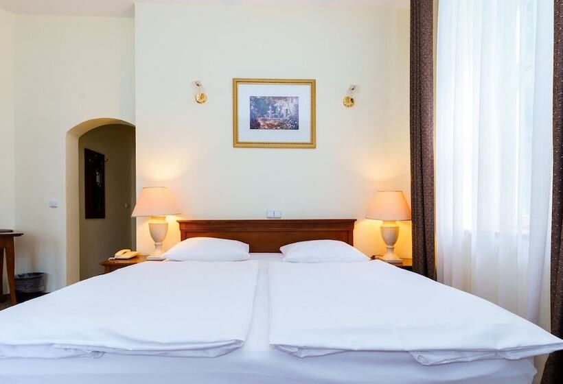 스탠다드 룸, Spa Hotel Anglický Dvůr