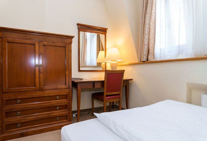 스탠다드 싱글 룸, Spa Hotel Anglický Dvůr