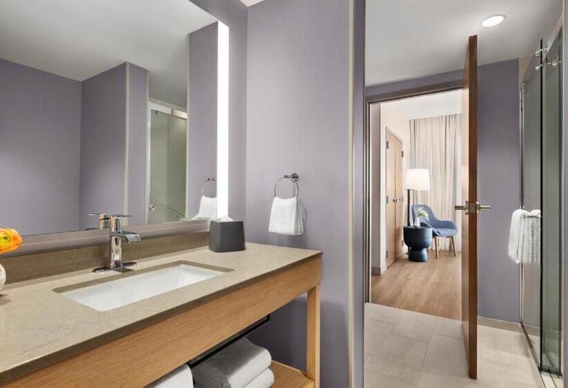 سوئیت با تخت بزرگ, Hyatt Place Virginia Beach Oceanfront