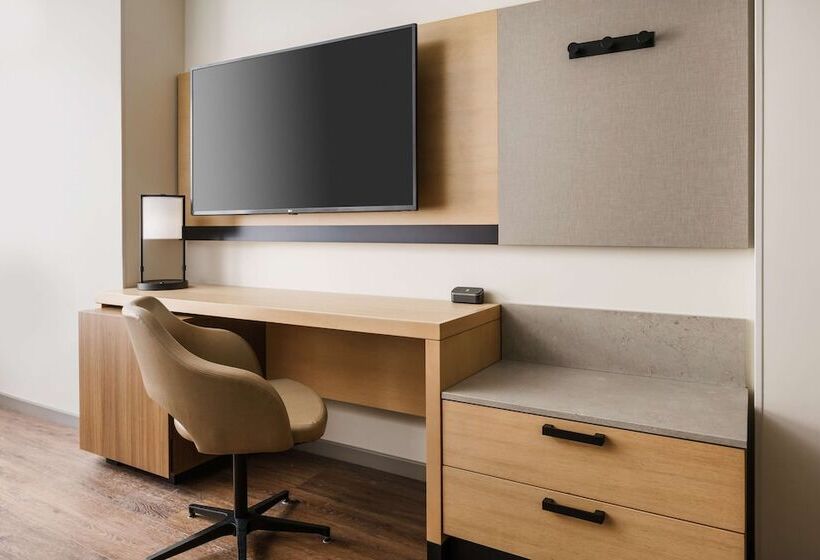 اتاق لوکس با چشم‌انداز دریا, Hyatt Place Virginia Beach Oceanfront