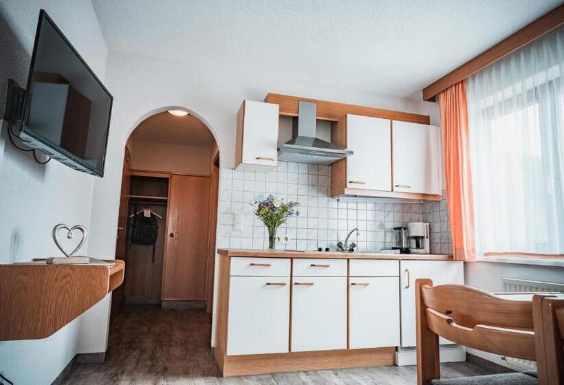 Apartamento 1 Dormitório, Garni Romantika
