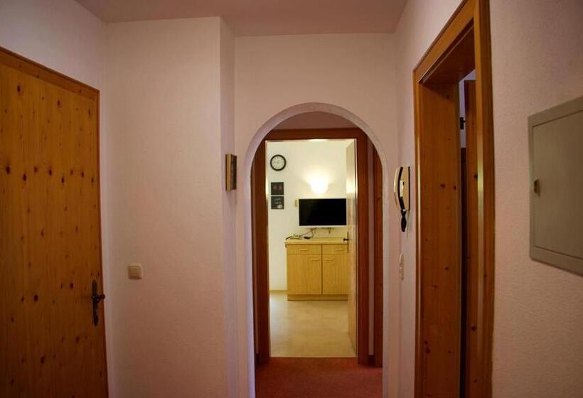 آپارتمان 1 خوابه, Aparthotel Alpin Life
