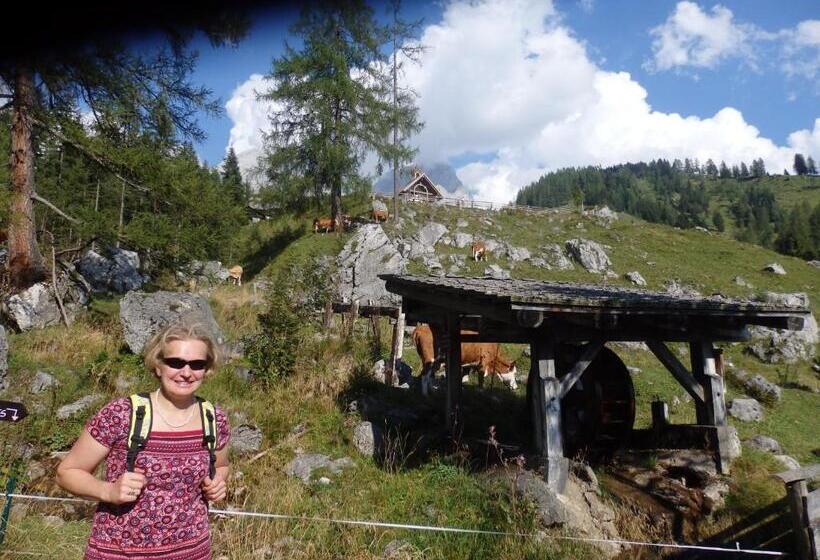 Семейные Апартаменты, Bauernhofurlaub Sinnhubgut