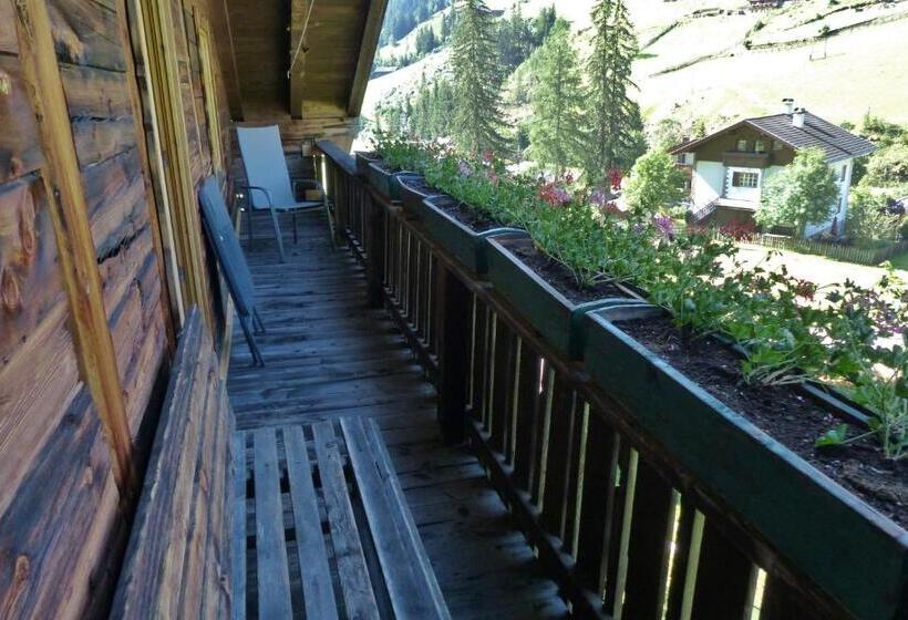Апартаменты 2 Спальни, Bauernhof Untergrafer