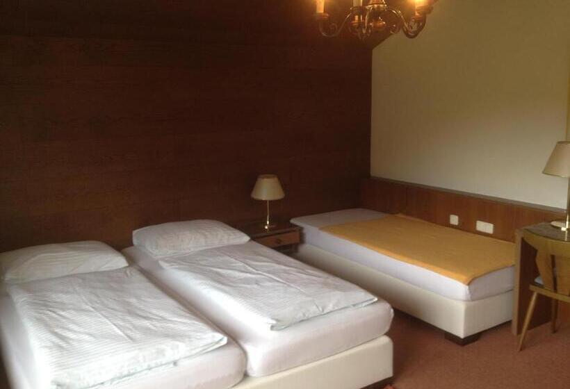 اتاق استاندارد سه نفره, Seehotel Lilly