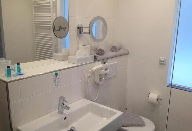 اتاق لوکس با چشم‌انداز دریاچه, Seehotel Lilly