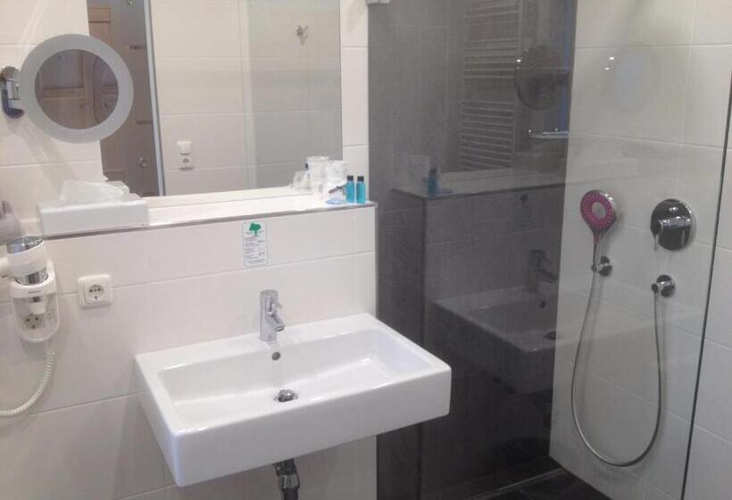 اتاق لوکس با چشم‌انداز دریاچه, Seehotel Lilly