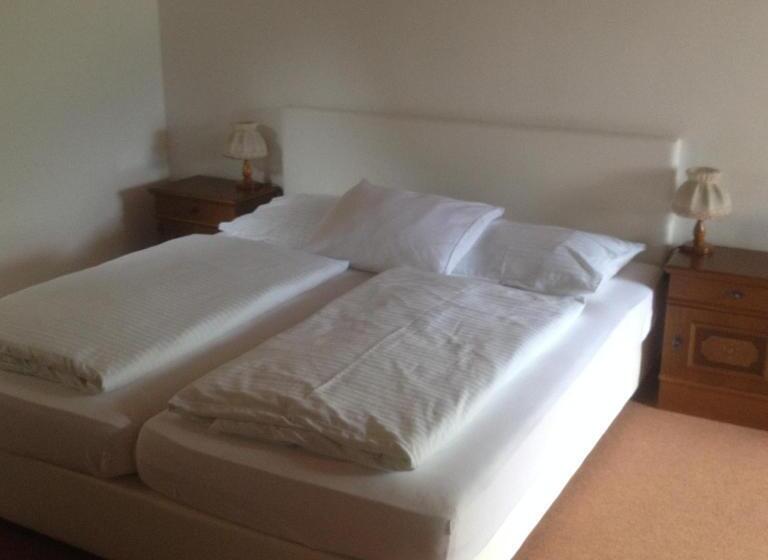 اتاق استاندارد با چشم‌انداز دریاچه, Seehotel Lilly