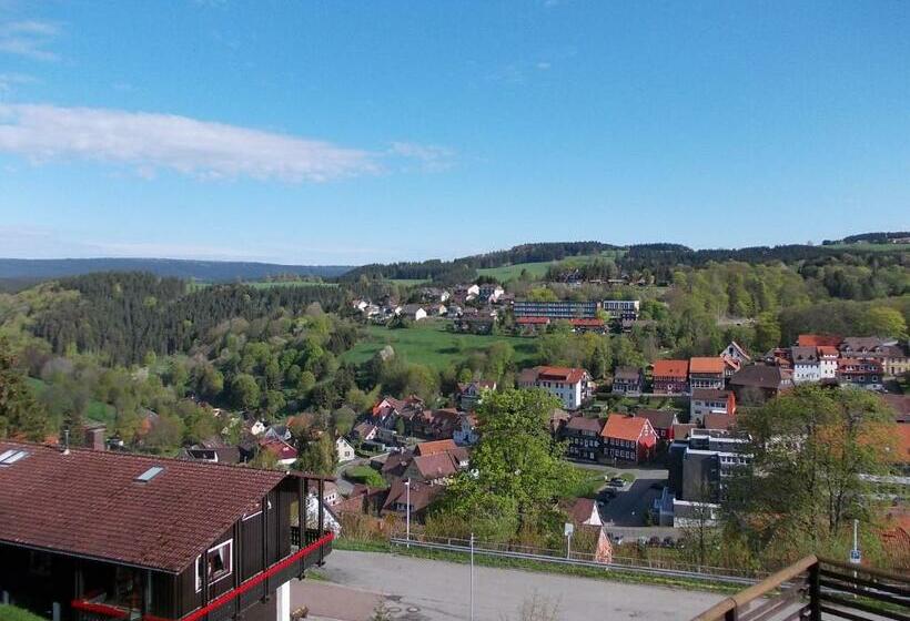 Номер Стандарт Вид на Горы, Berghotel Glockenberg
