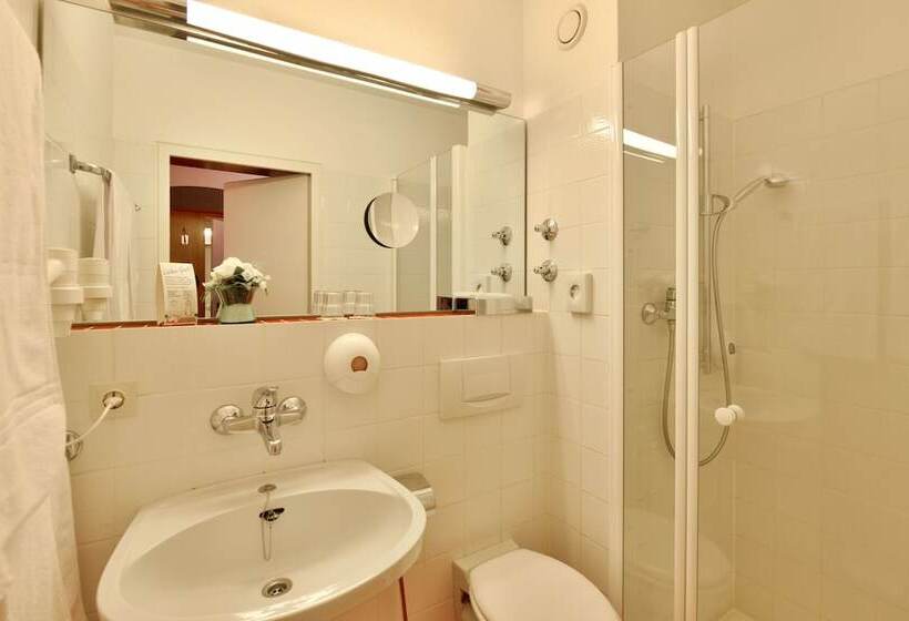 Номер Стандартный с Видом, Trip Inn Landhotel Badsoden Salmünster
