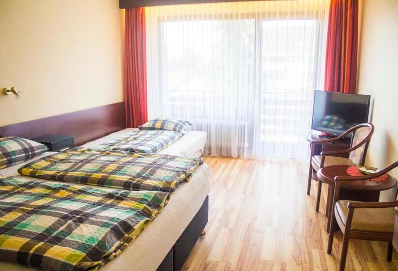 Номер Стандарт Трехместный, Naturkost Hotel Harz