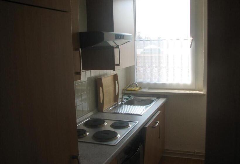 Апартаменты 1 Спальня с Балконом, Apartmenthotel Harz