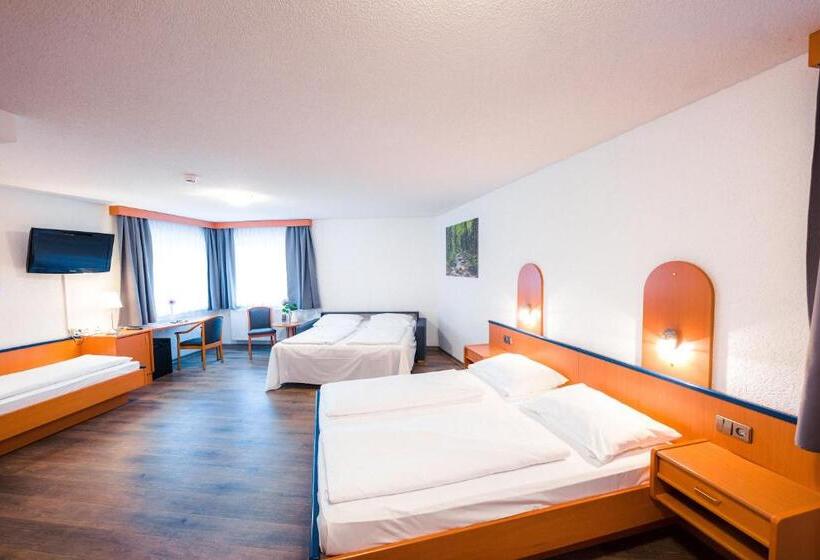 Quarto Estandar, Am Park